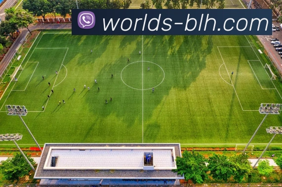 4001老百汇官网APP 封面图